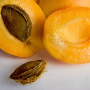 Абрикос "Ананасовий" (солодкий, ароматний, великоплідний)