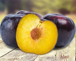 Слива "Анжеліна" (пізній сорт, великоплідна, солодка)