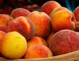 Персик Соковитий (середній сорт, великоплідний, ароматний)
